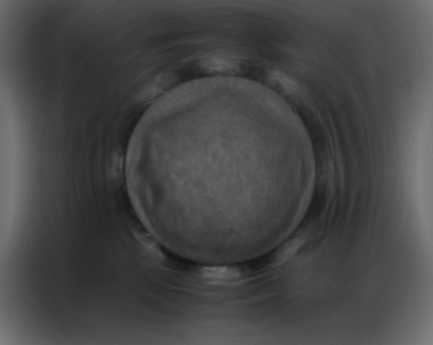 X0000086790281200705041554