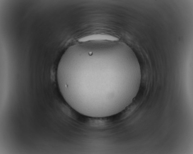 X0000086790282200705041554