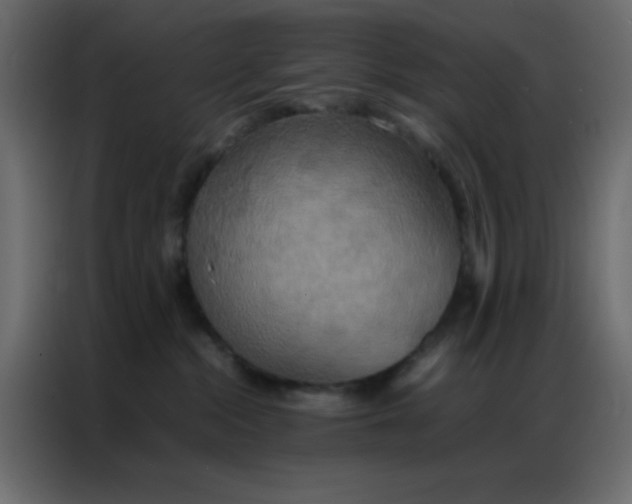 X0000086790284200705041554