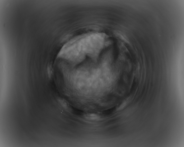 X0000086790285200705041554