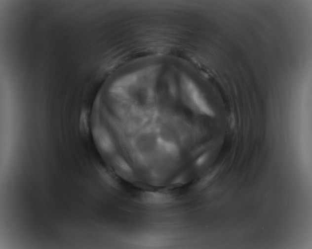 X0000086790286200705041554