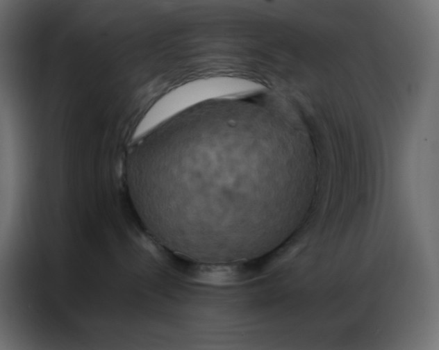 X0000086790288200705041554