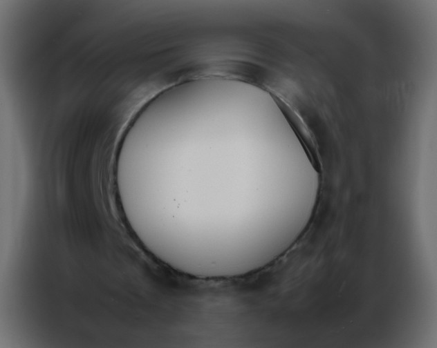 X0000086790289200705041554