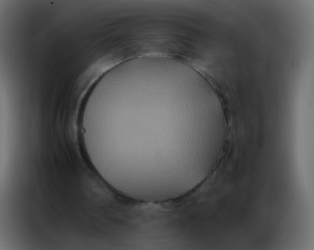 X0000086790290200705041554