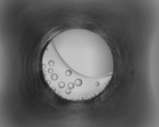 X0000086790291200705041554