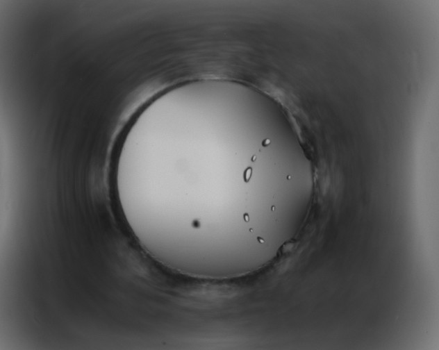 X0000086790292200705041554