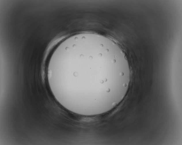 X0000086790294200705041554