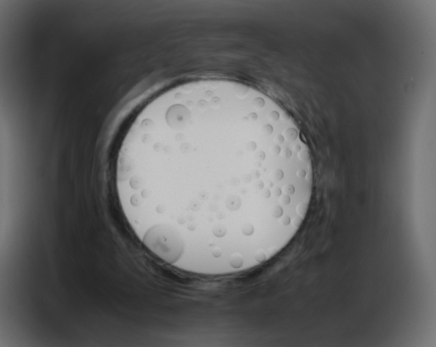 X0000086790295200705041554