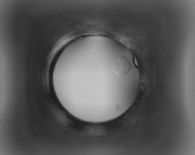 X0000086790296200705041554