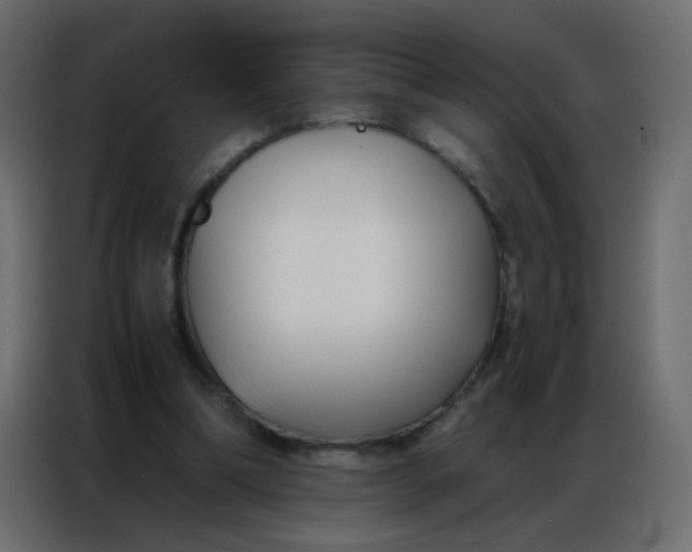 X0000086790298200705041554