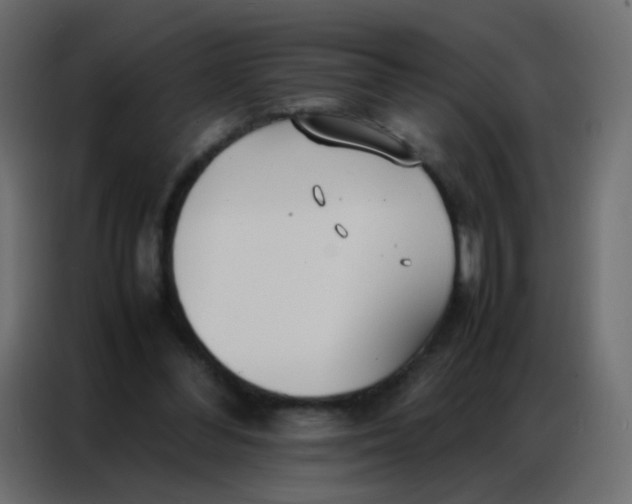 X0000086790300200705041554