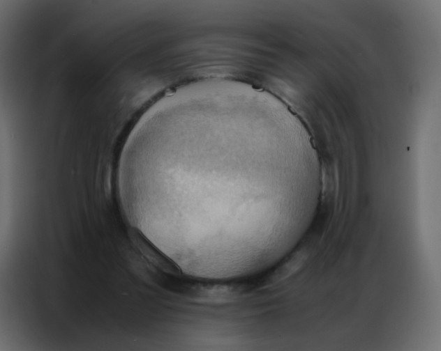 X0000086790301200705041554