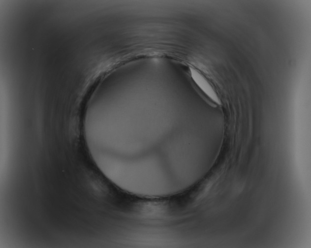 X0000086790303200705041554