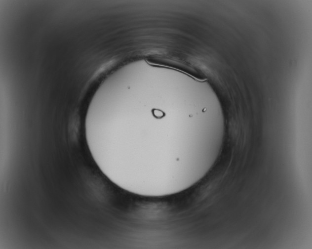 X0000086790304200705041554