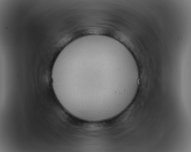 X0000086790305200705041554