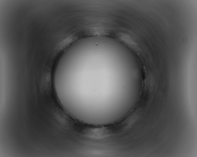 X0000086790306200705041554