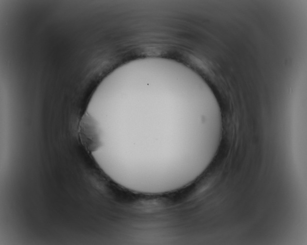 X0000086790307200705041554