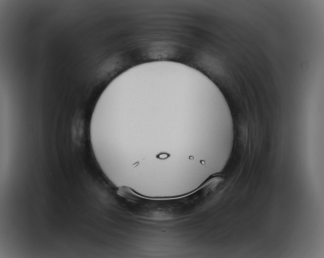 X0000086790308200705041554