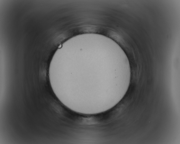 X0000086790309200705041553