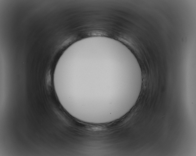 X0000086790310200705041553