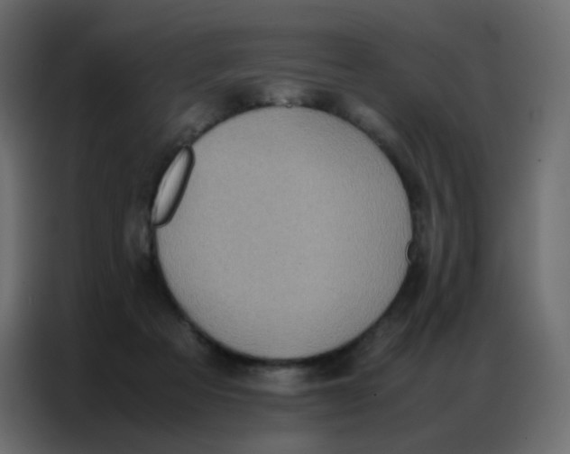 X0000086790313200705041553