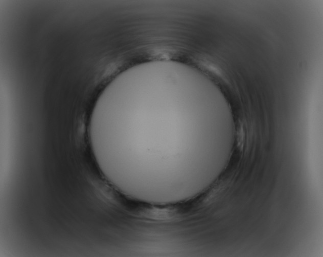 X0000086790314200705041553