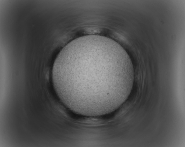 X0000086790315200705041553