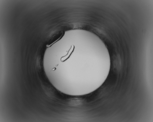 X0000086790316200705041553