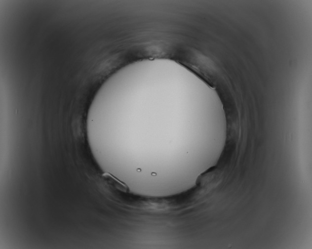 X0000086790317200705041553