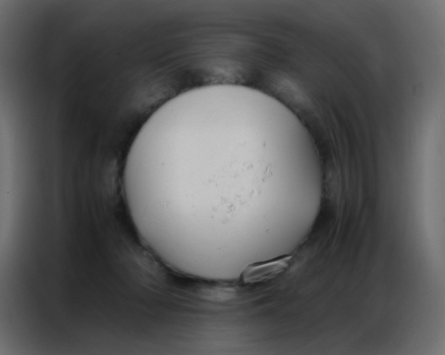 X0000086790318200705041553