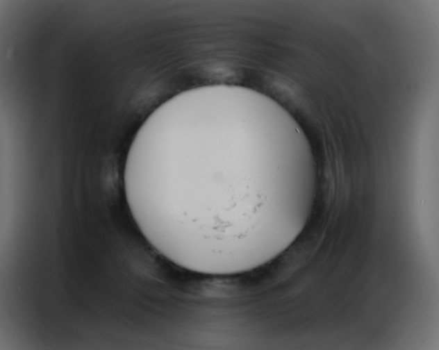 X0000086790320200705041553