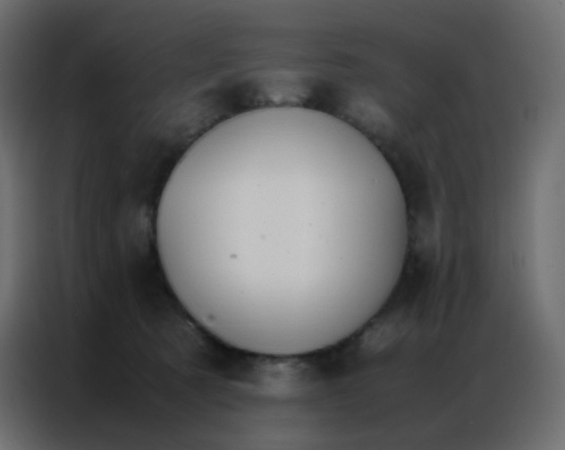 X0000086790321200705041553