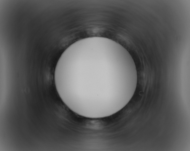 X0000086790324200705041553