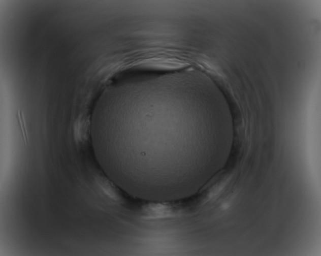 X0000086790325200705041553