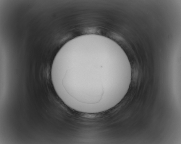 X0000086790326200705041553