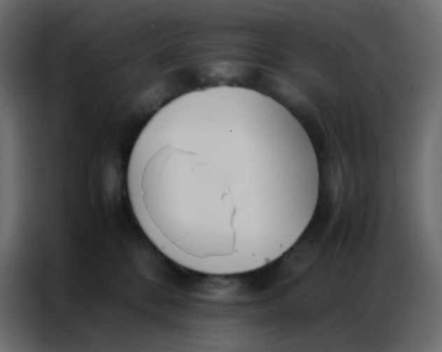 X0000086790328200705041553