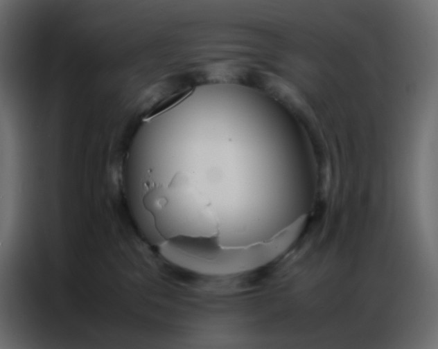 X0000086790329200705041553