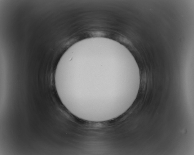 X0000086790330200705041553