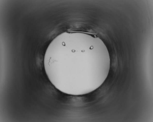 X0000086790332200705041553