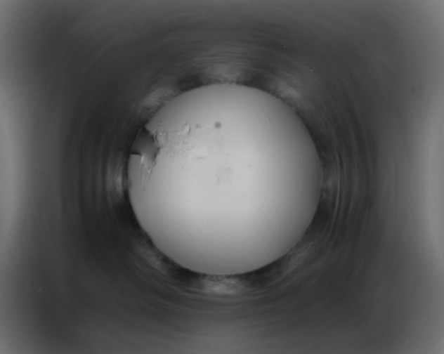 X0000086790334200705041553