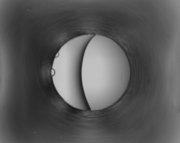 X0000086790336200705041553