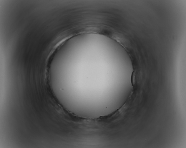 X0000086790338200705041553