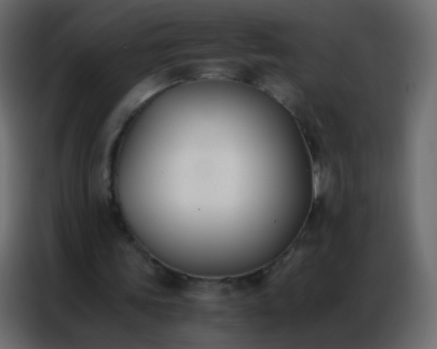 X0000086790339200705041553