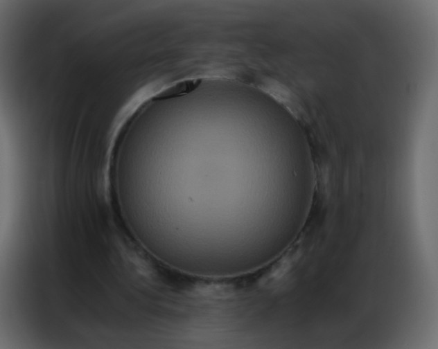 X0000086790340200705041553