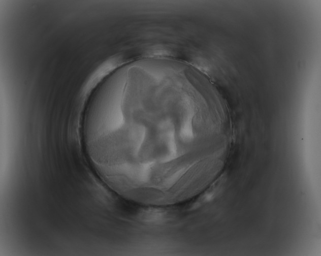 X0000086790341200705041553