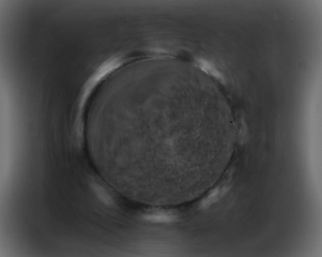 X0000086790343200705041553