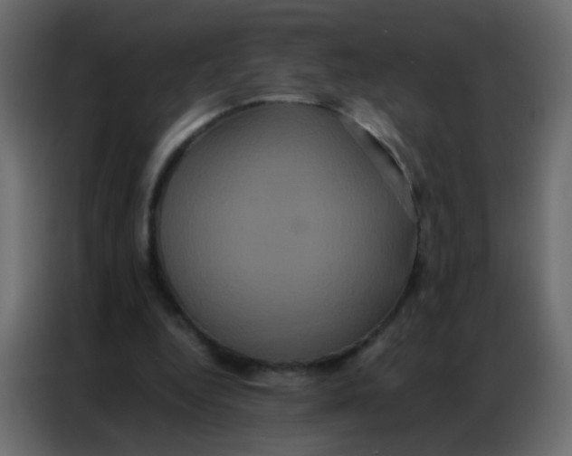 X0000086790344200705041553