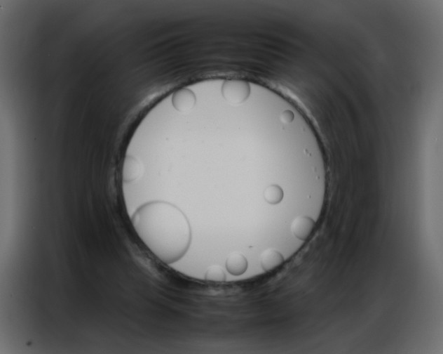 X0000086790345200705041553