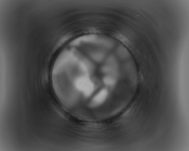 X0000086790347200705041553