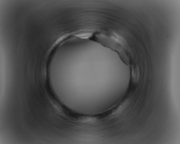 X0000086790348200705041553